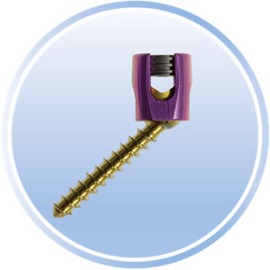 tornillo pedicular cervical