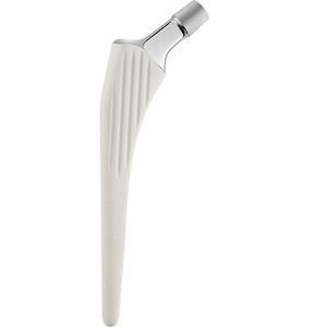 vástago femoral no cementado