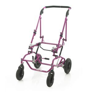 carrito para niños con discapacidad