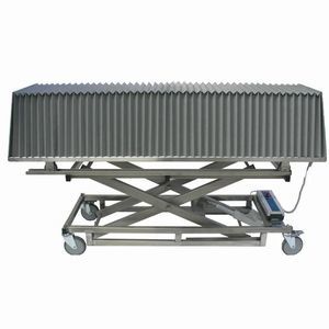 carro de transferencia 1