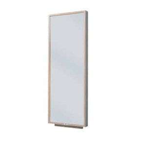 espejo de fisioterapia de pared