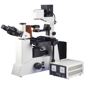 microscopio trinocular