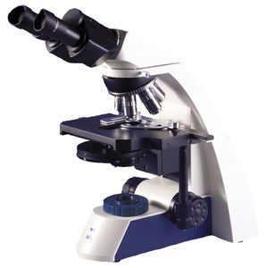 microscopio binocular
