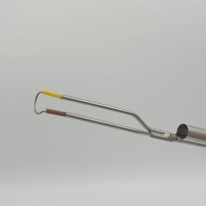 electrodo para endoscopia 1