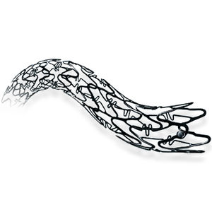stent arteria coronaria