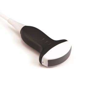 sonda para ecografía convexa 1