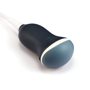 sonda para ecografía convexa 1