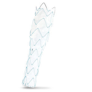 stent-injerto de aorta torácica