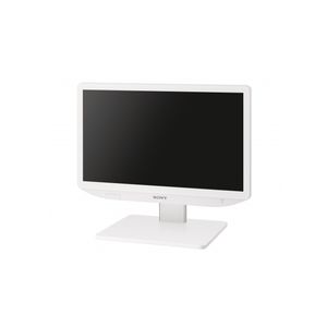 monitor 24