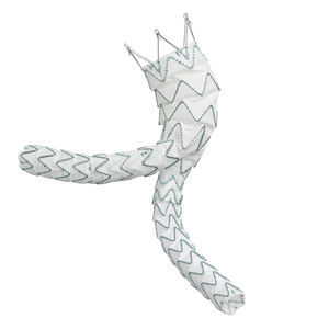 stent-injerto aorta abdominal