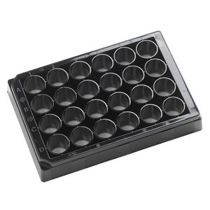 microplaca de 24 orificios