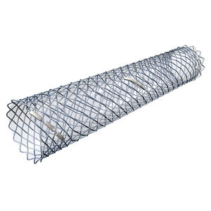 stent biliar