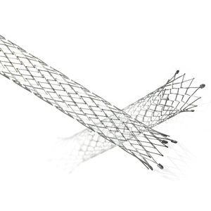 stent biliar 1