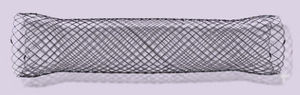 stent duodenal