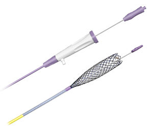 stent biliar