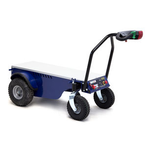 transportador eléctrico 1