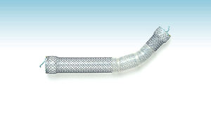stent esofágico 1