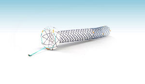 stent biliar 1