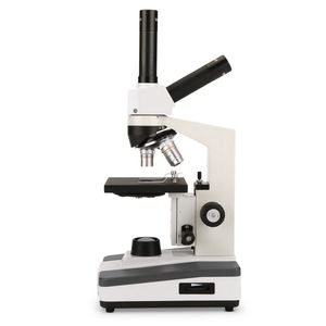 microscopio óptico 1