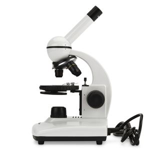 microscopio óptico 1
