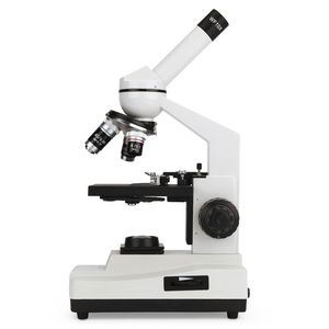 microscopio óptico 1