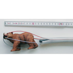 cesta de endoscopia para uso veterinario