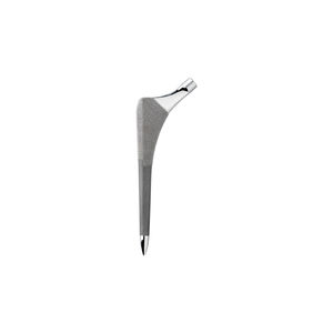 vástago femoral no cementado