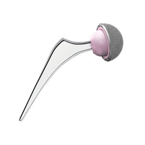 vástago femoral cementado