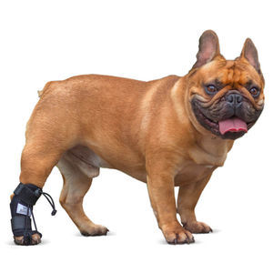 férula veterinaria para patas