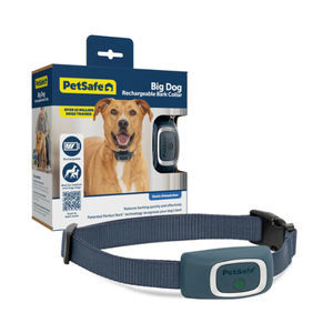collarín veterinario para perros