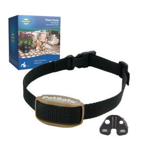collarín veterinario para perros