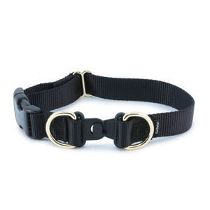collarín veterinario para perros 1