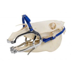 espéculo veterinario para odontología 1