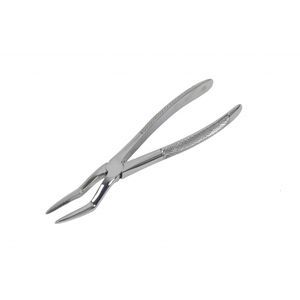 pinza dental veterinario 1