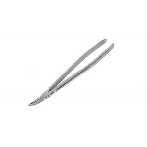 pinza dental veterinario 1