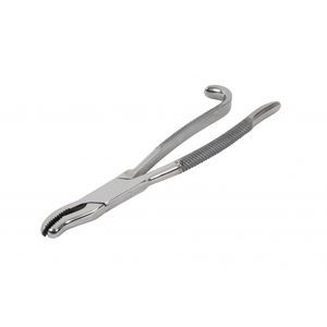 pinza dental veterinario 1