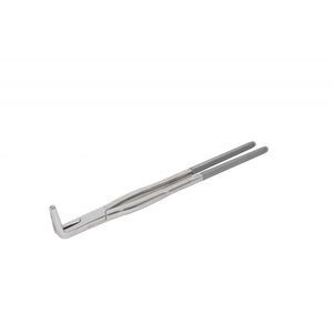 pinza dental veterinario 1