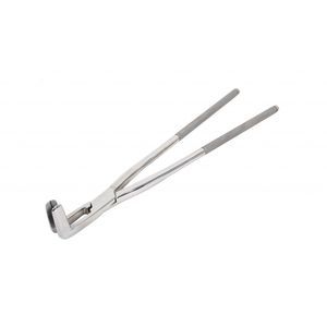 pinza dental veterinario 1