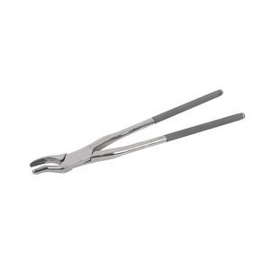 pinza dental veterinario 1