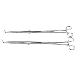 pinza dental veterinario 1