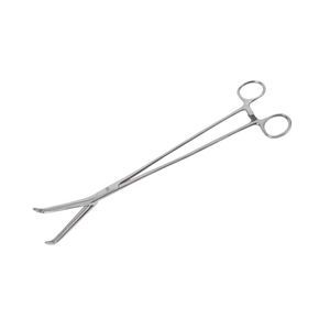pinza dental veterinario 1