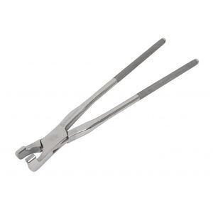 pinza dental veterinario 1