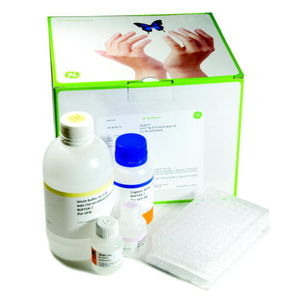 kit de reactivos para purificación de ADN