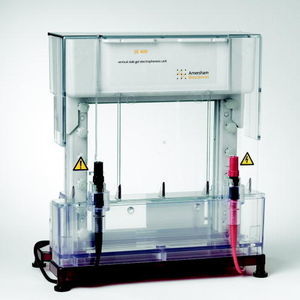 cubeta de electroforesis vertical