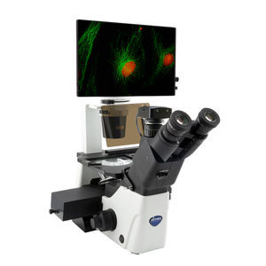 microscopio óptico