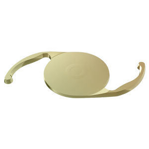 lente intraocular monofocal 1