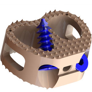 caja intersomática lumbar