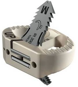 caja intersomática lumbar