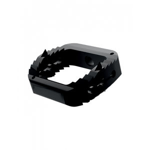 caja intersomática cervical