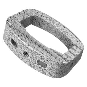 caja intersomática lumbar
